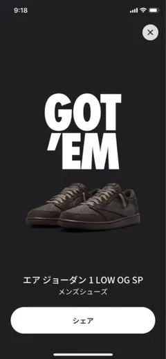 Travis Scott Jordan 1 Low Velvet Brown27