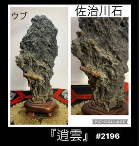 【信濃美術石博物館】水石 盆栽 佐治川石 ウブ横14×高31×奥行10(cm) 2.9kg 骨董盆石古美術鑑賞石中国古玩 2196