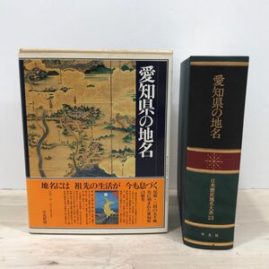 愛知県の地名 日本歴史地名 大系23 平凡社[D0328]