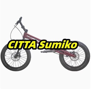 24インチ スタント用自転車 BMX 自転車 大人用 フロントおよびリアブレーキ付き Crmoフレームとフォーク パープル