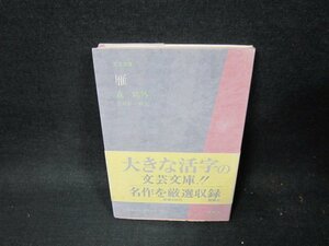 雁　森?外　文芸文庫　シミ有/TFF