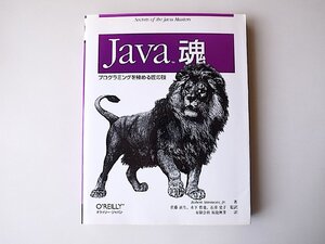 Java魂―プログラミングを極める匠の技