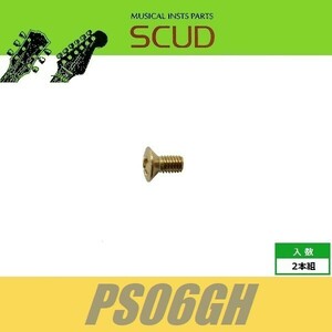 SCUD PS06GH　レバースイッチビス　ミリ　ゴールド　2pcs　丸皿頭　ねじ　スカッド