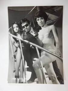 スチール写真1「殺しの烙印」鈴木清順監督　宍戸錠　真理アンヌ　小川万里子　　1967年　日活