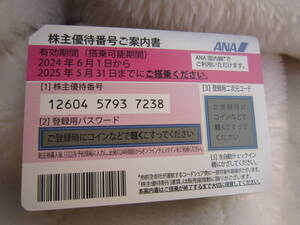 ☆送料無料☆A N A株主優待券☆2025年5月31日まで☆999円☆