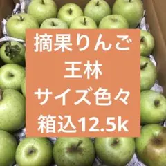 摘果りんご　王林　現品　箱込12.5k