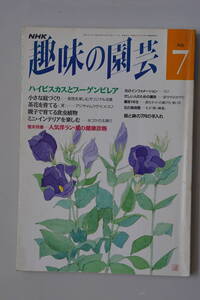 40728 13 NHK 趣味の園芸　平成4年年7月 　