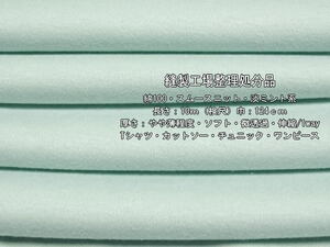 綿100 スムースニット やや薄 ソフト 微透過 淡ミント系 10m