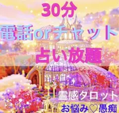 ⭐️電話orチャット30分♡霊感タロット占い放題❣️