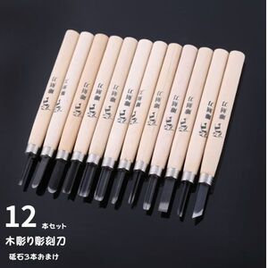 彫刻刀 ST12 12本 新品 おまけ砥石3本 鑿 のみ 木工芸 即納 日曜大工 DIY 仏像 民芸 格安 即納