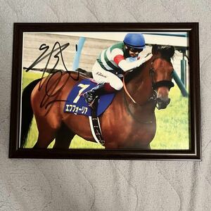 競馬 エフフォーリア 横山武史 直筆サイン A4写真 ルメール 武豊 藤田菜七子 馬券 イクイノックス 馬券 川田将雅 ディープインパクト