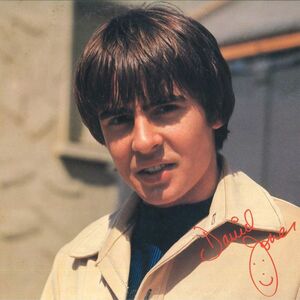 LP Davy Jones (The Monkees) Davy Jones 20RS20 ARISTA /00260