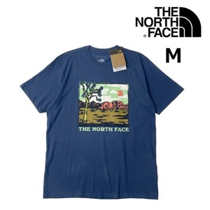 売切り【正規新品】THE NORTH FACE◆S/S NOVELTY GRAPHIC TEE 半袖 Tシャツ US限定 グラフィック ハーフドームロゴ(M)青 180902-15