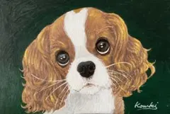 犬の絵　色鉛筆とアクリル画　キャバリア　ハガキサイズ