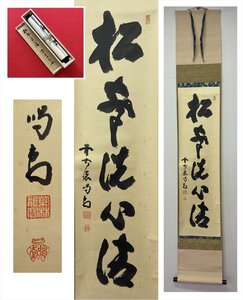 【千寿】大徳寺派 龍源院 細合喝堂 松声洗心清 一行書 紙本 d841◆箱/茶道具/古美術/時代品/掛軸/100027215