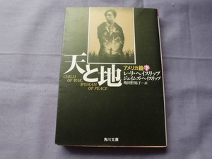 N2　天と地　アメリカ篇/下　レ・リ・ヘイスリップ