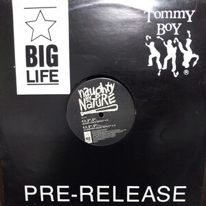 12inch UK盤/NAUGHTY BY NATURE O.P.P. REMIXES