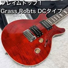 フレイムトップ！ GrassRoots DCタイプ グラスルーツ Knight