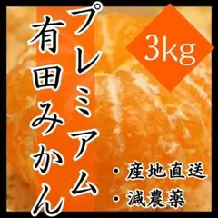 みかん 有田みかん 3㎏ 蜜柑 減農薬 ミカン 濃厚 甘い 高糖度 産地直送