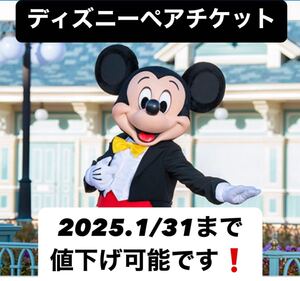 ディズニー　ペアチケット　2枚　