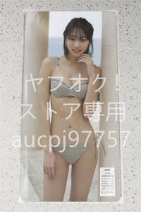 武田玲奈/デスクマット＆プレイマット＆マウスパッド＆ラバーマット/超厚/超大型/高品質