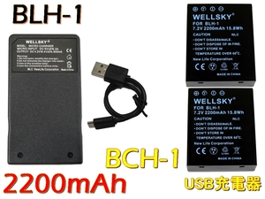 新品 OLYMPUS オリンパス BLH-1 2個 & 超軽量 USB 急速 バッテリーチャージャー 互換充電器 BCH-1 1個 [ 3点セット ] OM-D E-M1 Mark II