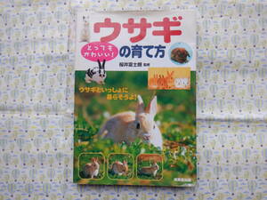 B9　『とってもかわいい！　ウサギの育て方』　桜井富士朗／監修　成美堂発行