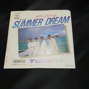 TUBE/ SUMMER DREAM 7インチ レコード 送料無料