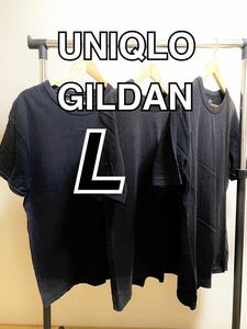 Tシャツ／Lサイズ／3枚まとめ／ブラック／UNIQLO GILDAN