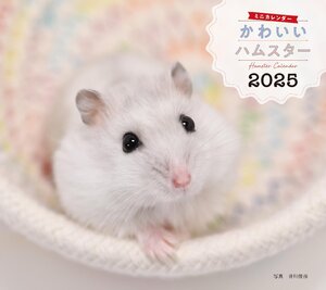 2025年カレンダー かわいいハムスター (誠文堂新光社カレンダー)