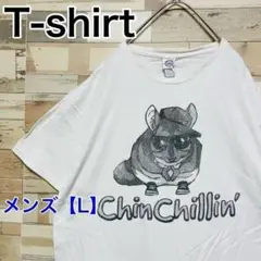 YD16【US輸入】DELTA　半袖Tシャツ【メンズL】ホワイト