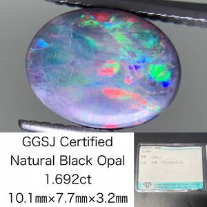 ブラックオパール 1.692ct 宝石ソーティング付き 10.1×7.7×3.2 ルース（ 裸石 ） 3048Y