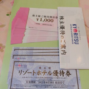 共立メンテナンスの株主優待券30枚　送料無料