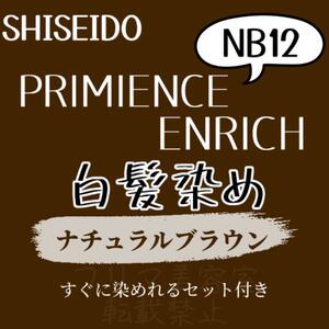 最安値 資生堂 NB12 白髪染め ロング用 ヘアカラー剤 セット付 2本組 ヘアカラー 明るめ 色持ち良し 自然な地毛に近いナチュラルブラウン