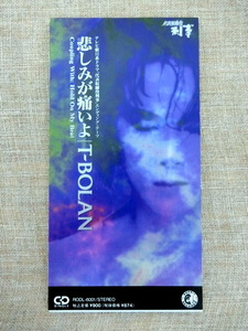 8㎝CD　悲しみが痛いよ T-BOLAN