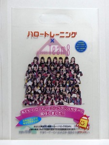 ハロートレーニング×AKB48 Team8 クリアファイルケース■厚生労働省 ハロートレーニングアンバサダー■未使用新品