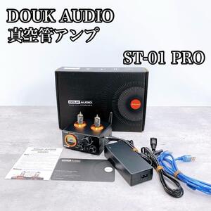 DOUK AUDIO ST-01 PRO 真空管パワーアンプ