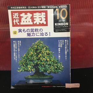 Ih-245 近代盆栽 10月号 実もの盆栽の魅力に迫る 眠れる真柏を覚醒させる 平成26年10月1日発行 L2:61002