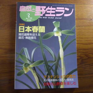 ＹＮ1-240910☆自然と野生ラン 2006年3月号　