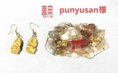 punyusan様専用　　2点オルゴナイト　置物　ピアス