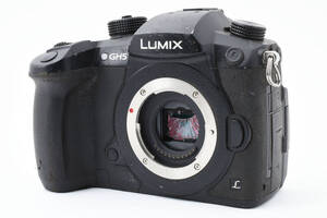 Panasonic パナソニック　LUMIX DC-GH5 ボディ ミラーレス一眼カメラ ジャンク 6119