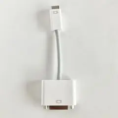 Apple Mini DisplayPort - DVIアダプタ