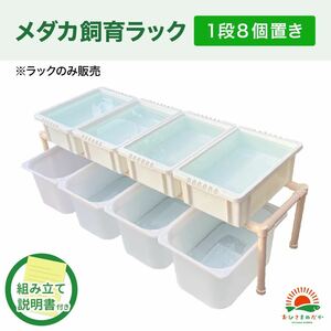 ★メダカ飼育白ラック　1段8個置き★ めだか飼育棚NVBOX13 めだか容器産卵撮影 ビオトープゾウリムシPSB針子タマミジンコにどうぞ