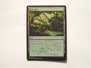 バイン　MTG 肥沃な茂み/Fertile Thicket foil 日本語1枚