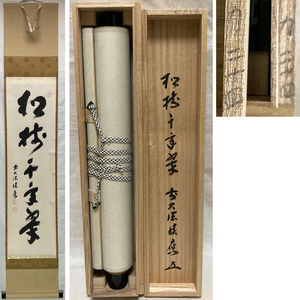 01579 前大徳寺 福本積應 作 「松寿千年翠」掛軸（共箱）茶道具（茶掛/紫野）