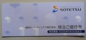 相鉄ホールディングス株主優待券1冊(2025年6月30日まで有効)