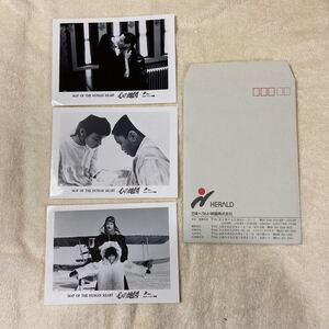 n 913 『心の地図 』MAP OF THE HUMAN HEART 1992年　映画　スチール写真３枚 当時物　レトロ