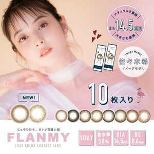 フランミーワンデー FLANMY 1day 10枚入 1箱 カラコン 1day 度あり 度なし ブラウン ブラック コンタクト 佐々木希