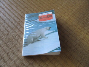 滅びゆく動物　カラー自然ガイド　保育社　パンダ　トキ　カラーブックス