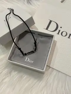 DIOR プレートネックレス　チョーカー　新品